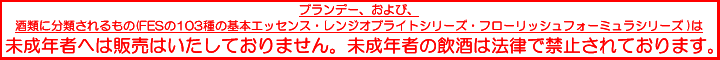 酒類の通信販売表示